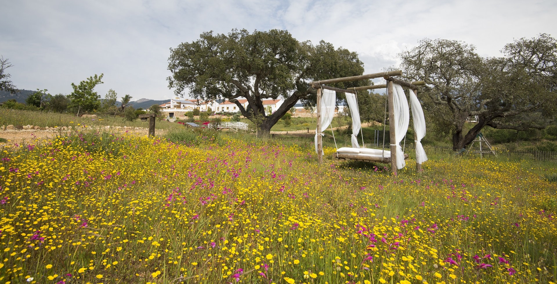 A Fauna e Flora da Costa Vicentina • Herdade do Amarelo